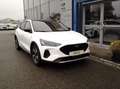 Ford Focus 1,0 EcoBoost Hybrid Active Weiß - thumbnail 3