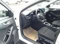 Ford Focus 1,0 EcoBoost Hybrid Active ***AKTION TAGESZULAS... Weiß - thumbnail 11