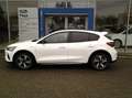 Ford Focus 1,0 EcoBoost Hybrid Active ***AKTION TAGESZULAS... Weiß - thumbnail 14