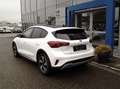 Ford Focus 1,0 EcoBoost Hybrid Active ***AKTION TAGESZULAS... Weiß - thumbnail 13