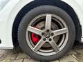 Volkswagen Polo GTI VI 2.0TSI/200PS/8-FACH/PDC/CARPLAY/KLIMA/ Weiß - thumbnail 16