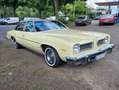 Pontiac LeMans Beige - thumbnail 8