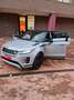 Land Rover Range Rover Evoque Range Rover Evoque 2.0D I4-L.Flw 150 CV AWD Auto R Grijs - thumbnail 28