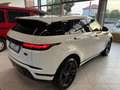 Land Rover Range Rover Evoque Range Evoque 2.0d i4 mhev awd 163cv R-Dynamic Bianco - thumbnail 5
