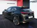 Lexus UX 250h Lexus UX 250h Style Edition Schwarz - thumbnail 10