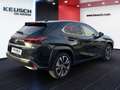 Lexus UX 250h Lexus UX 250h Style Edition Schwarz - thumbnail 12