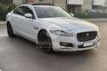 Jaguar XF XF 3.0 D V6 300 CV aut. Prestige Argento - thumbnail 3