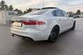 Jaguar XF XF 3.0 D V6 300 CV aut. Prestige Argento - thumbnail 5