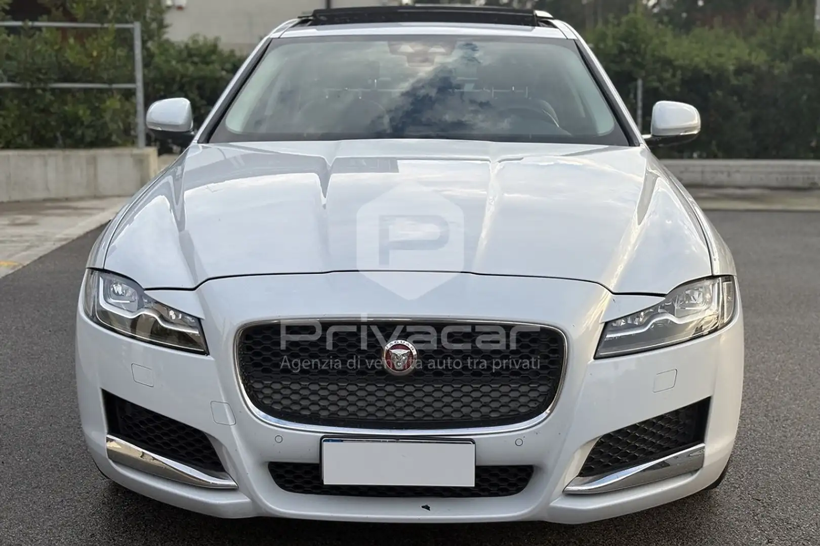 Jaguar XF XF 3.0 D V6 300 CV aut. Prestige Argento - 2