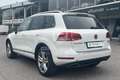 Volkswagen Touareg Touareg 3.0 TDI 245 CV tiptronic BlueMotion Techn. Executive Blanc - thumbnail 7