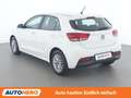 Kia Rio 1.2 Österreich Edition Weiß - thumbnail 4