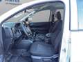 Ford Ranger Ranger Doppelkabine XL 4x4 2,0 EcoBlue XL Weiß - thumbnail 12