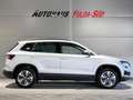 Skoda Karoq Selection°Matrix°RFK°FSE°Navi°PDC°Shzg°AHK Silber - thumbnail 3