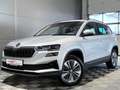 Skoda Karoq Selection°Matrix°RFK°FSE°Navi°PDC°Shzg°AHK Silber - thumbnail 5