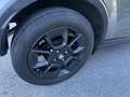 Suzuki Ignis 1,2 DualJet Hybrid 4WD shine Grün - thumbnail 7
