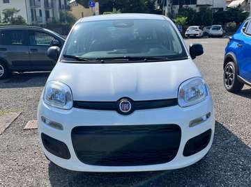 Icon Hybrid