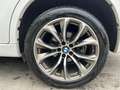 BMW X6 X6 xdrive30d Extravagance 258cv auto Bílá - thumbnail 17