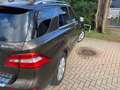 Mercedes-Benz ML 350 M-Klasse BlueTEC 4MATIC 7G-TRONIC Bruin - thumbnail 3