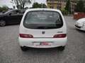 Fiat Seicento 1.1i Active - OK NEOPATENTATI - "Iscrivibile ASI" Blanc - thumbnail 4