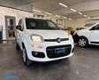 Fiat Panda 0.9 Metano 2P. Autocarro *PREZZO+IVA* Weiß - thumbnail 4