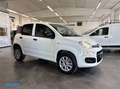 Fiat Panda 0.9 Metano 2P. Autocarro *PREZZO+IVA* Weiß - thumbnail 3