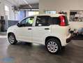 Fiat Panda 0.9 Metano 2P. Autocarro *PREZZO+IVA* Weiß - thumbnail 5