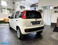 Fiat Panda 0.9 Metano 2P. Autocarro *PREZZO+IVA* Weiß - thumbnail 6