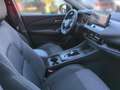 Nissan Qashqai 1.5 e-POWER 190 PS Black Edition Weiß - thumbnail 9