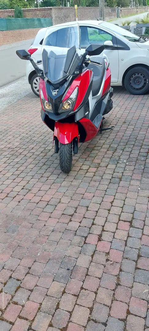 SYM Cruisym 300 Red - 1