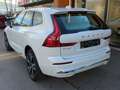 Volvo XC60 Ultimate Bright AWD HUD AHK Digitales Cockpit Memo Bianco - thumbnail 5