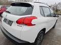 Peugeot 2008 82 VTI Acess Weiß - thumbnail 6