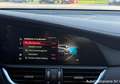 Alfa Romeo Giulia 2.9 V6 Bi-Turbo AT8 Quadrifoglio / R7690282 Zwart - thumbnail 17