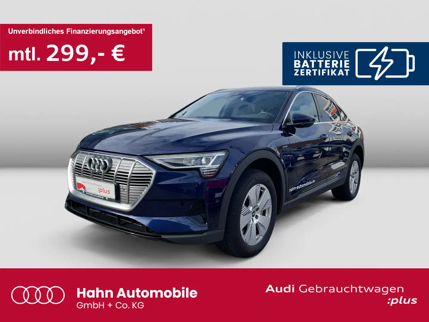 Audi e-tron 55 quattro Navi LED CAM Sitzh Blau - 1