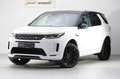 Land Rover Discovery Sport D180 4WD Aut. R-Dynamic S Weiß - thumbnail 2