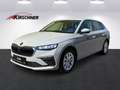 Skoda Scala 1,0 TSI Selection Grau - thumbnail 1