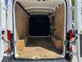 Ford Transit 2.0ECOBLUE 130CV L2H2 350 Weiß - thumbnail 8