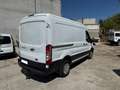 Ford Transit 2.0ECOBLUE 130CV L2H2 350 Blanco - thumbnail 6