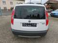 Skoda Roomster Scout Plus Edition 1.6 TDI Weiß - thumbnail 5