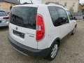 Skoda Roomster Scout Plus Edition 1.6 TDI Weiß - thumbnail 4
