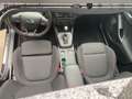 Ford Focus ST-Line X Turnier EcoBoost MHEV- AUTOMATIK Schwarz - thumbnail 19