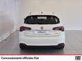 Fiat Tipo 5p 1.3 mjt street s&s 95cv my20 Weiß - thumbnail 7