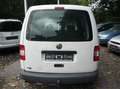 Volkswagen Caddy Kasten Economy EcoFuel Weiß - thumbnail 11