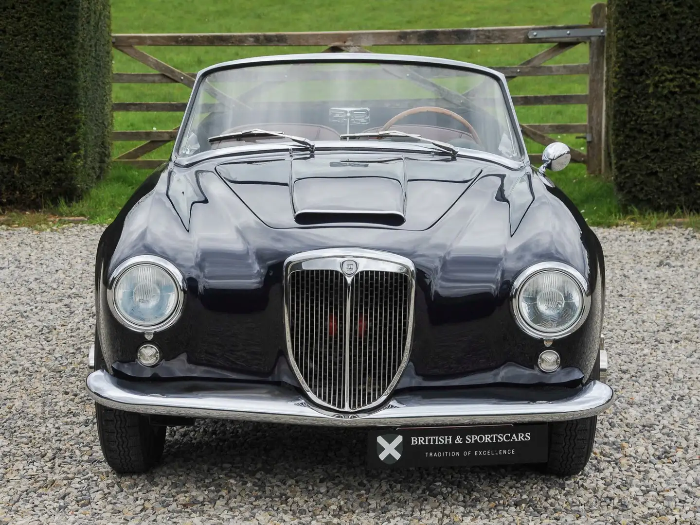 Lancia Aurelia B24S Convertible by Pinin Farina Bleu - 2