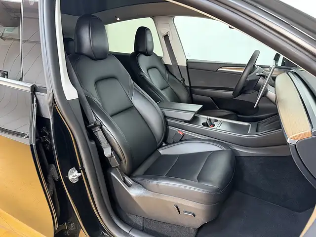 Tesla Model Y view 9