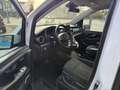 Mercedes-Benz V 220 CDI EDITION 4MATIC lang Weiß - thumbnail 6