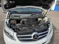 Mercedes-Benz V 220 CDI EDITION 4MATIC lang Weiß - thumbnail 8