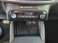 Ford Kuga EcoBoost Autom. Titanium m. Navi/LED/SYNC 4 Rot - thumbnail 15