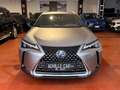 Lexus UX 250h 2.0 Luxury 2wd cvt *PREZZO REALE* Grigio - thumbnail 2