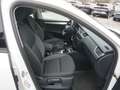 Skoda Octavia Combi 1,6 TDI Ambition Limited *LED* Weiß - thumbnail 9