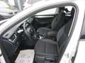 Skoda Octavia Combi 1,6 TDI Ambition Limited *LED* Weiß - thumbnail 6